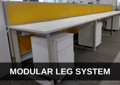 MODULAR LEG SYSTEM